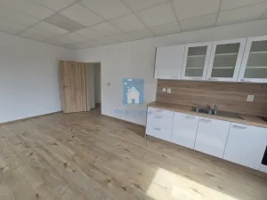 Pronájem bytu 2+kk, Plzeň, Tisová, 67 m2