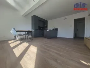 Pronájem bytu 2+kk, České Budějovice, Jeronýmova, 55 m2