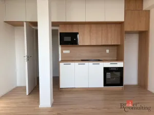 Pronájem bytu 1+kk, Opava - Kateřinky, Rolnická, 27 m2