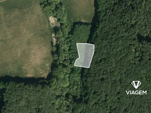 Prodej podílu lesa, Žlutava, 2234 m2