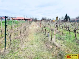 Prodej pozemku pro bydlení, Nový Šaldorf-Sedlešovice, 3428 m2