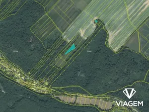 Prodej lesa, Horní Lhota, 11423 m2