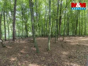 Prodej zahrady, Kostelec nad Černými lesy, Svatbínská, 10316 m2