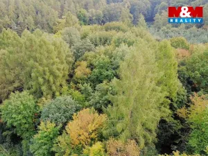 Prodej zahrady, Kostelec nad Černými lesy, Svatbínská, 10316 m2