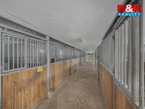 Prodej zemědělské usedlosti, Kostomlaty nad Labem - Rozkoš, 360 m2