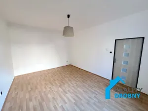 Pronájem bytu 1+1, Děčín, Škroupova, 44 m2