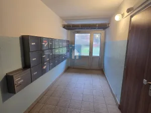 Pronájem bytu 3+1, Plzeň, Tachovská, 70 m2