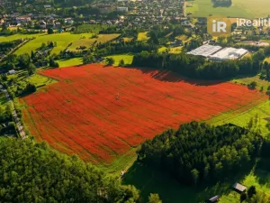 Prodej pole, Nová Paka, 29218 m2