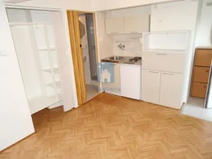 Pronájem bytu 1+kk, Praha, V rovinách, 15 m2