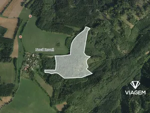 Prodej podílu lesa, Městečko Trnávka, 3311 m2