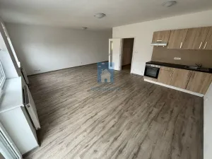 Pronájem bytu 1+kk, Plzeň, Rejskova, 54 m2