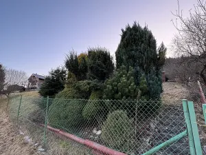 Prodej chaty, Ústí nad Orlicí, 10 m2