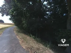 Prodej podílu lesa, Kokořín, 7736 m2