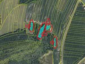 Prodej lesa, Klatovy, 8497 m2