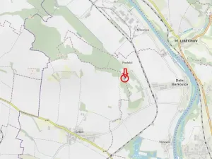 Prodej podílu lesa, Dolní Beřkovice, 1050 m2