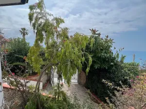 Prodej vily, Scalea, Itálie, 133000 m2