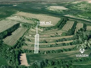 Prodej podílu pole, Uherčice, 233 m2