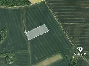 Prodej podílu pole, Zborovice, 1819 m2