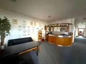 Pronájem kanceláře, Brno - Lesná, Nejedlého, 19 m2