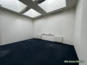 Pronájem kanceláře, Praha - Libeň, Lisabonská, 30 m2