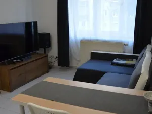 Pronájem bytu 2+kk, Olomouc, Dukelská, 47 m2