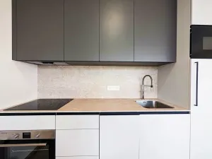 Pronájem bytu 1+kk, Mladá Boleslav, Nad Červenkou, 35 m2