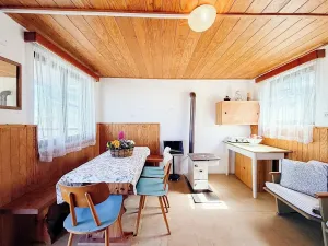 Prodej chaty, Vysoké Mýto, Vinice, 17 m2