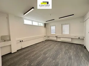 Pronájem obchodního prostoru, Nupaky, Komerční, 290 m2
