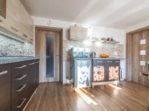 Prodej rodinného domu, Plavy, 336 m2