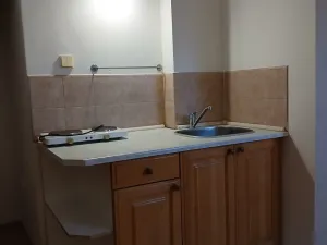 Pronájem bytu 1+kk, Opava - Předměstí, Englišova, 36 m2
