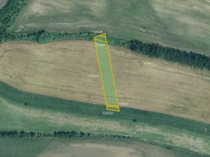 Prodej pole, Bzenec, 12473 m2