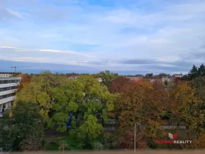 Pronájem bytu 2+kk, Hradec Králové, třída Karla IV., 70 m2