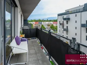 Pronájem bytu 1+kk, Olomouc, Eduarda Hamburgera, 33 m2