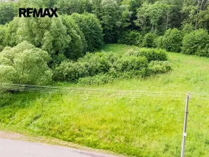 Prodej pozemku pro bydlení, Nový Bor, 2529 m2