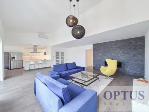 Pronájem bytu 6+kk a větší, Praha - Staré Město, Dušní, 218 m2