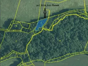 Prodej lesa, Člunek, 1493 m2