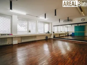 Pronájem kanceláře, Brno, Tuřanka, 15 m2