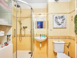 Prodej bytu 2+kk, České Budějovice, Holečkova, 56 m2