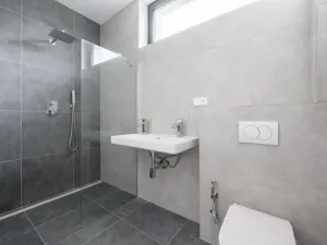 Prodej rodinného domu, Ptice, 203 m2