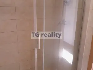 Pronájem bytu 1+1, Praha - Kamýk, Dolnojirčanská, 45 m2