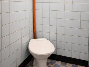 Prodej obchodního prostoru, Bošice, 135 m2