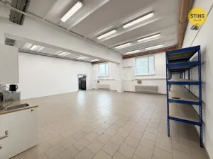 Pronájem skladu, Ostrava, Družební, 85 m2