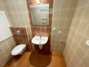 Pronájem bytu 1+kk, Plzeň - Jižní Předměstí, Goldscheiderova, 39 m2