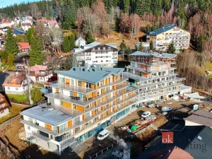 Prodej obchodního prostoru, Železná Ruda, Klatovská, 238 m2