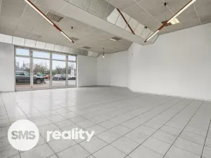 Pronájem obchodního prostoru, Ostrava - Moravská Ostrava, Vítkovická, 253 m2