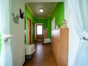 Prodej činžovního domu, Libina, 863 m2