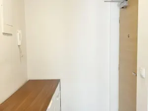 Prodej bytu 2+kk, Praha - Vysočany, Sousedíkova, 50 m2