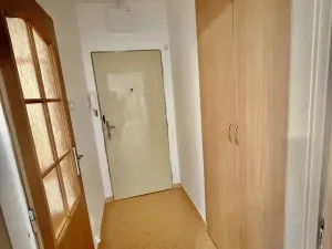 Prodej bytu 1+kk, Ostrava, Podroužkova, 25 m2