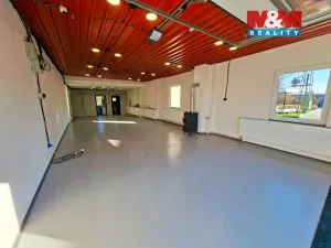 Pronájem výrobních prostor, Krupá, 101 m2