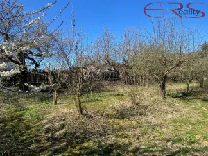 Prodej zemědělské usedlosti, Niměřice - Horní Cetno, 120 m2